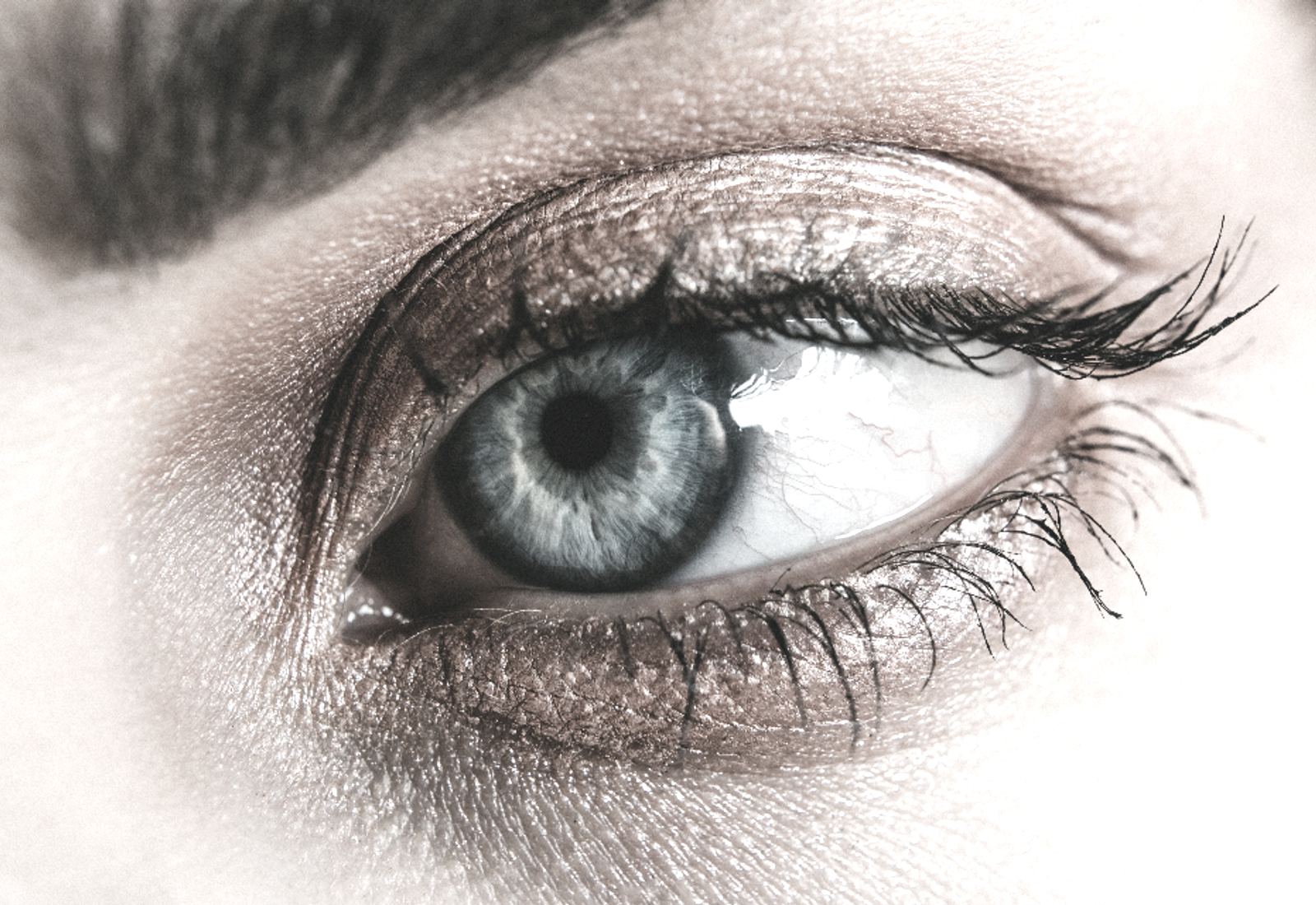 Yeux · eye liner — avant